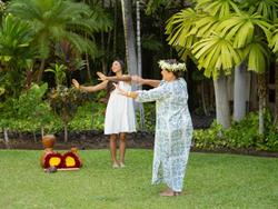 Fairmont Orchid - Hawaii