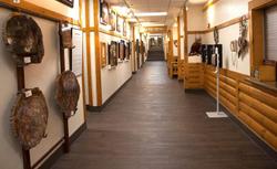 Best Western Plus Ruby's Inn
