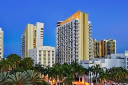 Royal Palm South Beach Miami, Tribute Portfolio