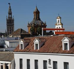 Rey Alfonso X