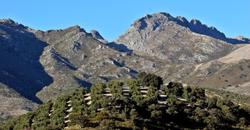 Huerta de las Palomas
