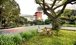 Belconti Resort Hotel