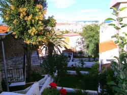 Finca Simo