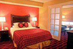 Peacock Suites