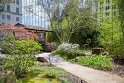 Grand Hyatt Atlanta In Buckhead