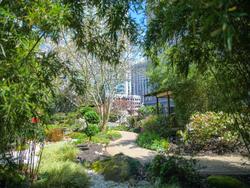 Grand Hyatt Atlanta In Buckhead