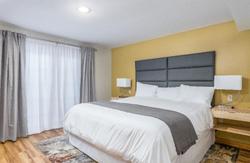 Grey Fox Inn & Resort