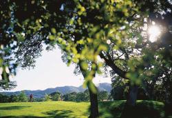 Fairmont Sonoma Mission Inn and Spa