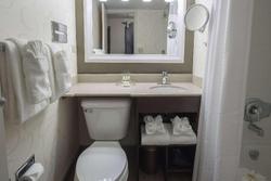Wyndham Rochester Downtown