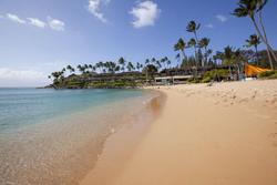 Napili Kai Beach Resort
