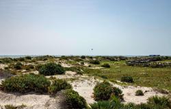 Best Western New Smyrna Beach Hotel & Suites