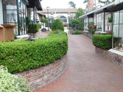 Pine Inn