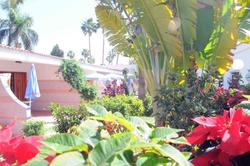 San Valentin & Terraforpark