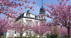 Chateau de l'Ile