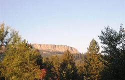 Mammoth Creek Inn