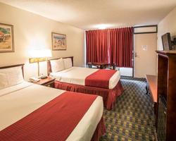 Quality Inn Kissimmee