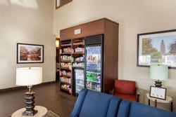 Comfort Suites University
