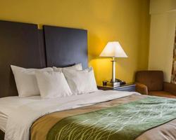 Quality Inn Old Salem