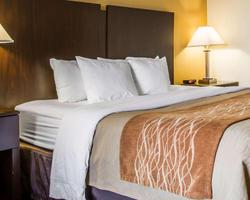 Quality Inn Old Salem