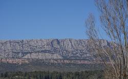 Mount Venturi