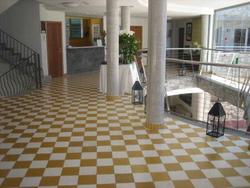 Terraza Amadores