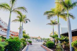 Landmar Costa Los Gigantes Family Resort