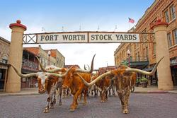 Radisson Hotel Fort Worth North-Fossil Creek