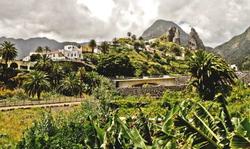 Finca Piñero