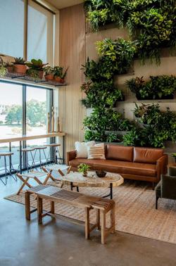 Brut Hotel