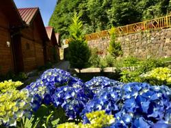 Tuva Villa Bungalov