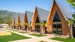 Araz Wooden Concept