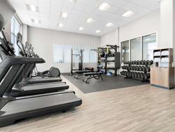 Hampton Inn Suites Chicago Medical District Uic
