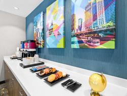 Hampton Inn Suites Chicago Medical District Uic