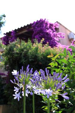 Residence Benista