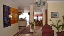 Begonville Apart