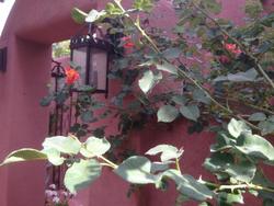 Casa Sedona Inn Adults Only