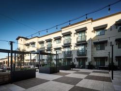 The Ava Hotel Paso Robles, Curio