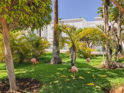 Flamingo Beach Mate