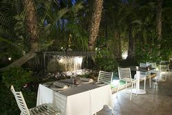 Areca