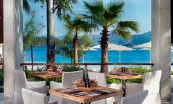 D Maris Bay
