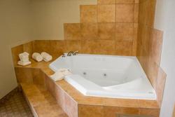 Comfort Suites Near Seaworld