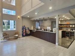 Montreal suites
