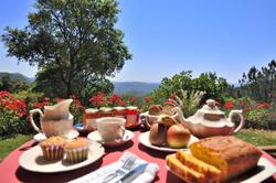 Posada Finca la Fronda
