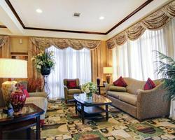 Comfort Suites Fort Stockton Area