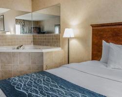 Quality Inn & Suites Coldwater Area