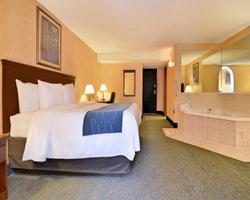 Quality Inn & Suites Coldwater Area