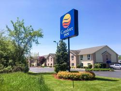 Comfort Inn & Suites Paw Paw Area