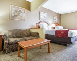 Comfort Suites Springfield - OH