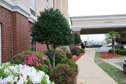 Hampton Inn Shreveport Airport
