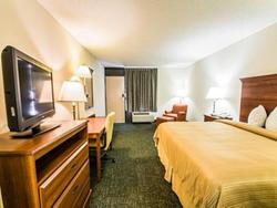 Equus inn
